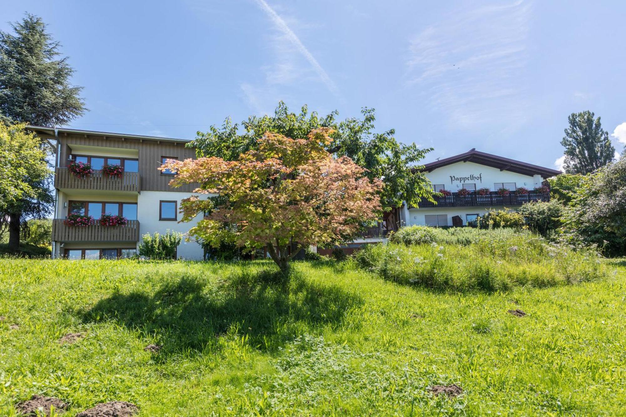 Pappelhof Apartment Bad Bellingen Exterior photo